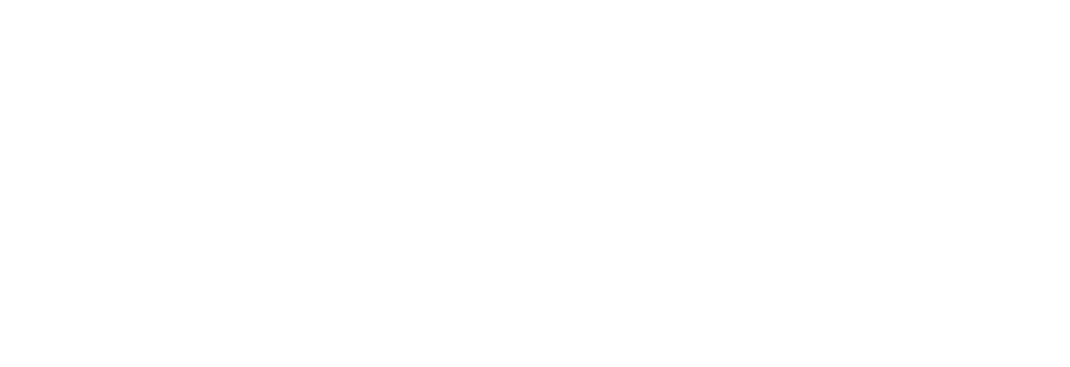 theartemisfund