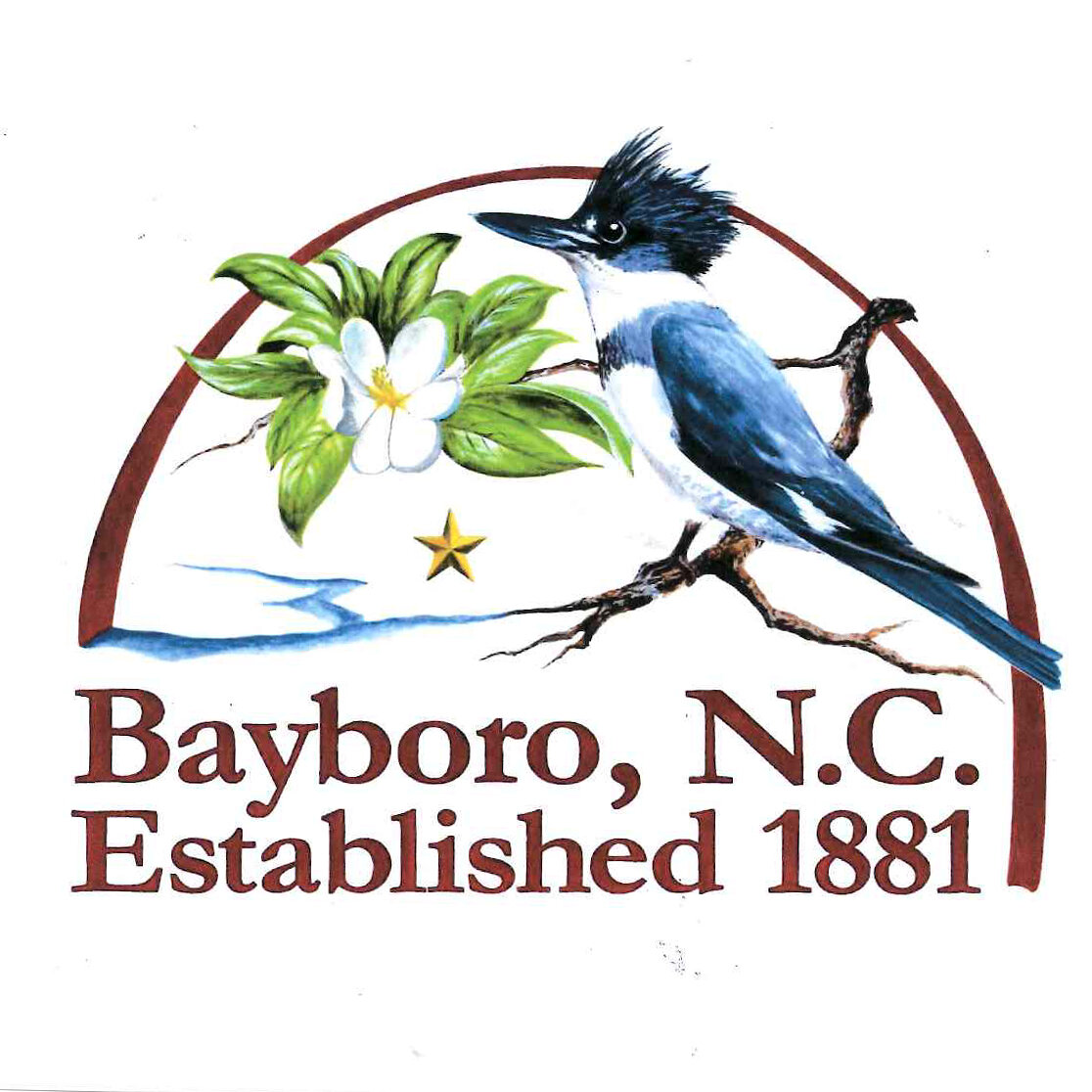Town  of Bayboro (Official)