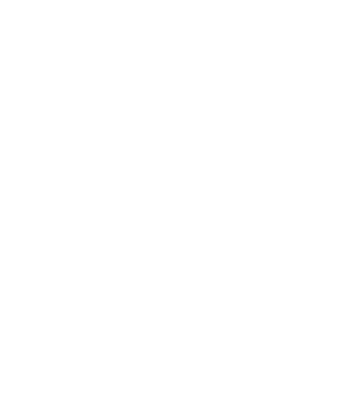 HORIZON EQUINE EFW