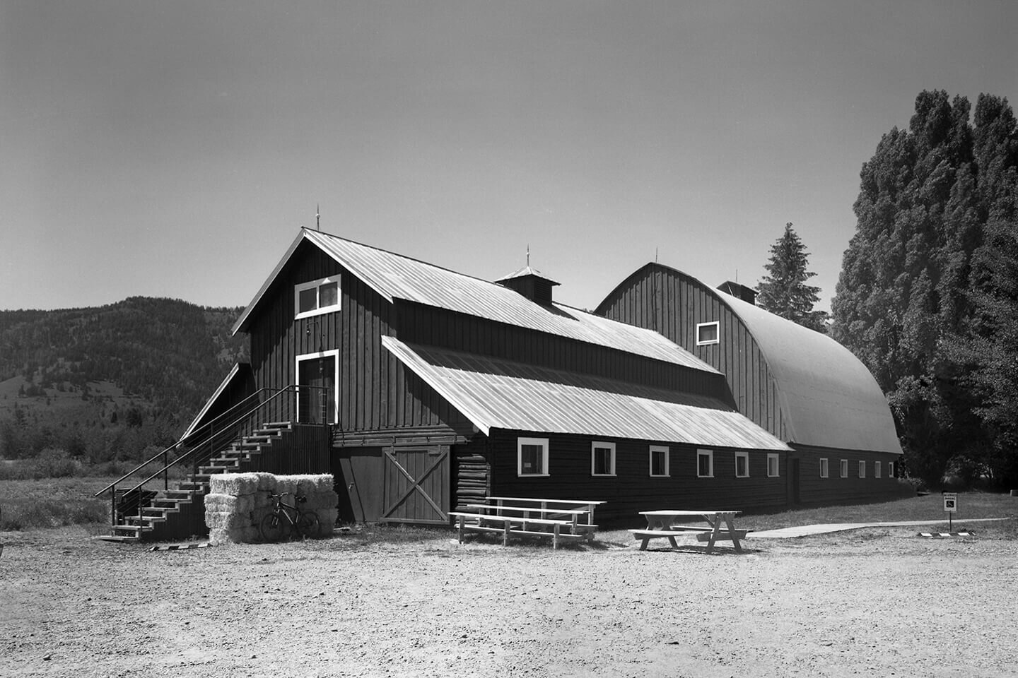 Two adjacent barns  with corrugated metal roofs