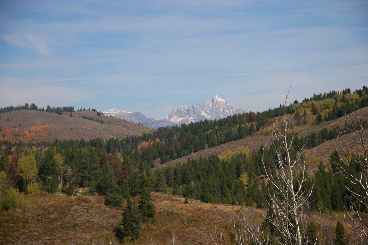 View of the Teton Range in the distance from site