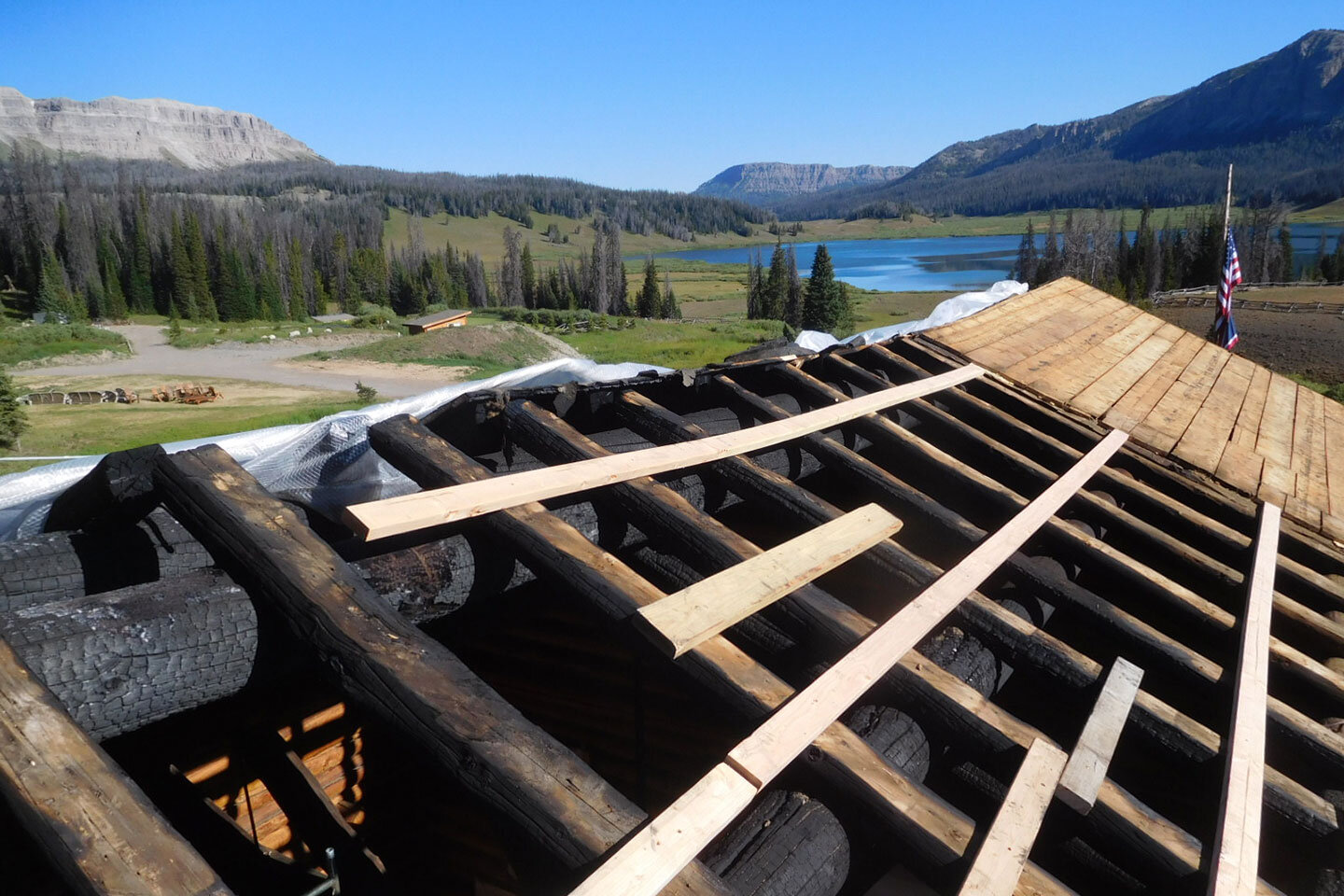 Burnt log ridge purlins and rafters