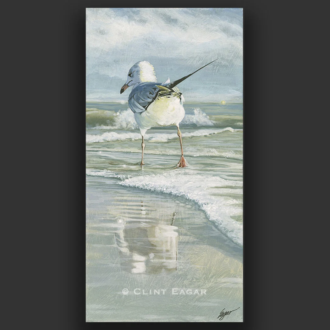 Seagull Painting Perfect Wall Art For Coastal Decor Clint Eagar Design