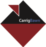 Carrig Bawn Programme and Project Management