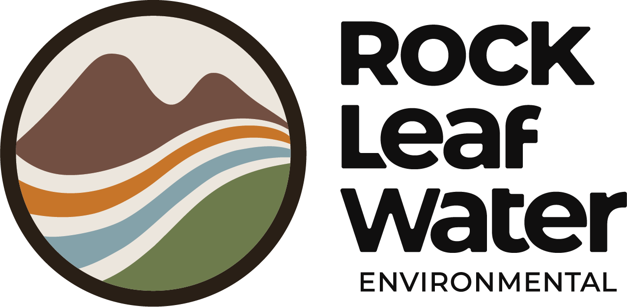 Rock Leaf Water Environmental
