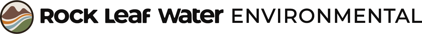 Rock Leaf Water Environmental