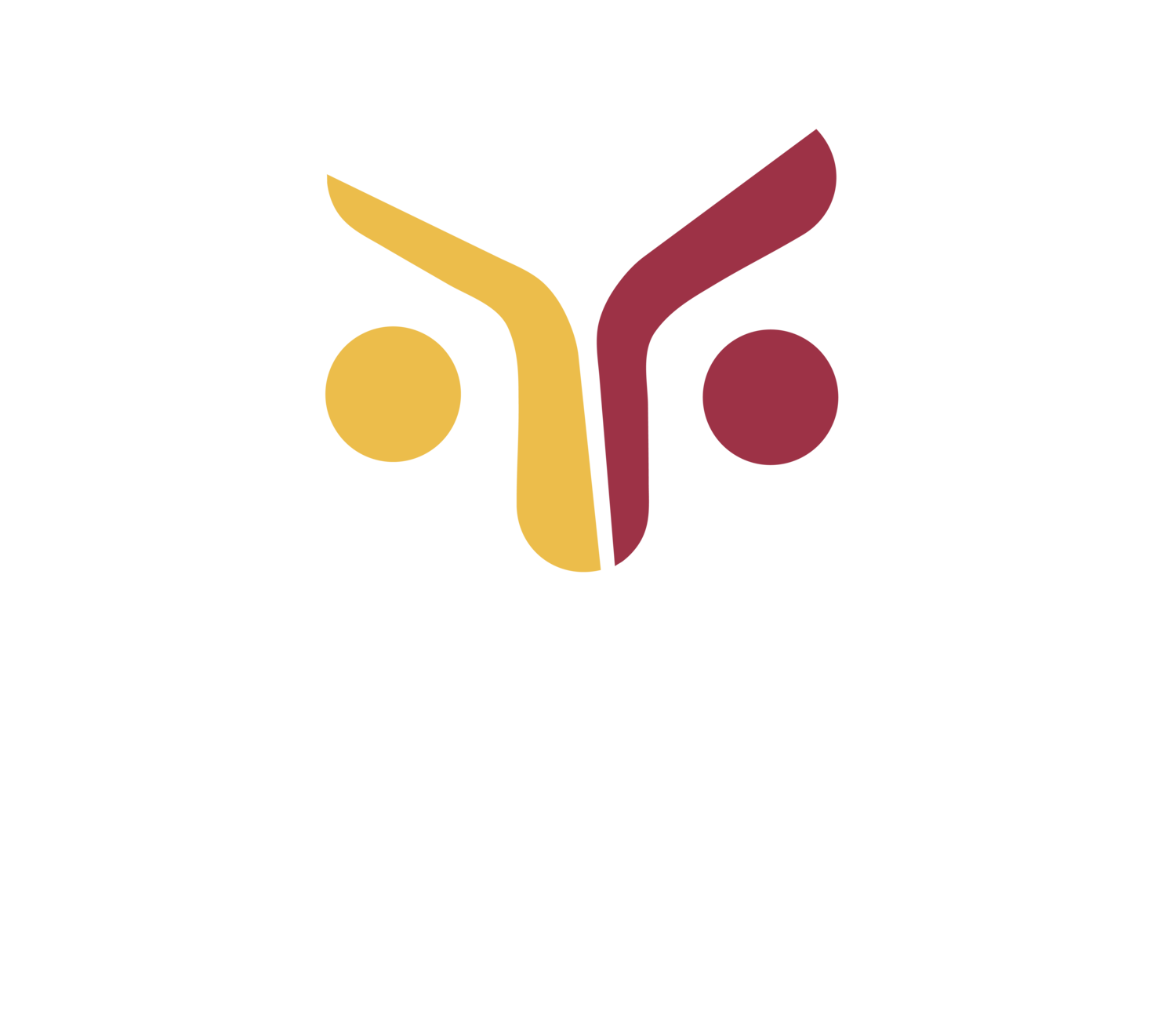 City Youth Matrix