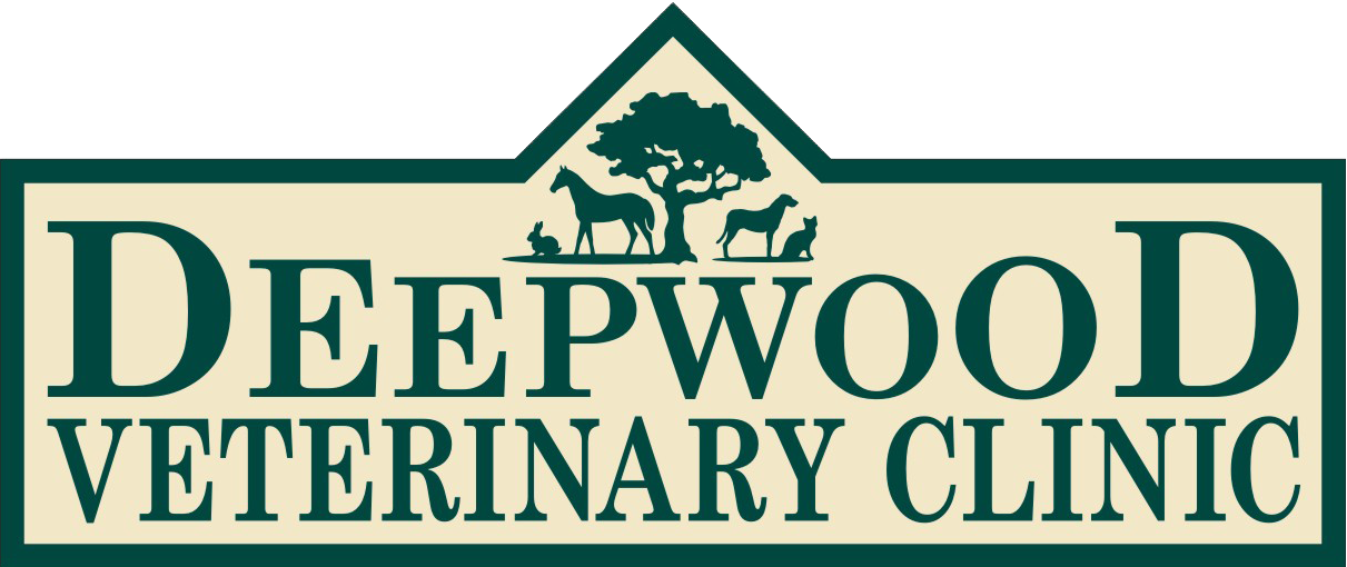 Deepwood Veterinary Clinic