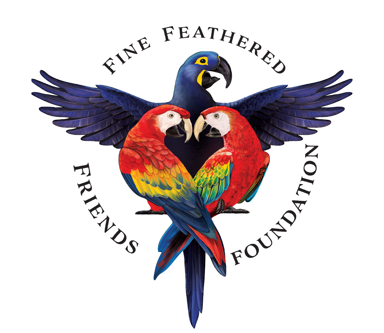 Fine Feathered Friends Foundation
