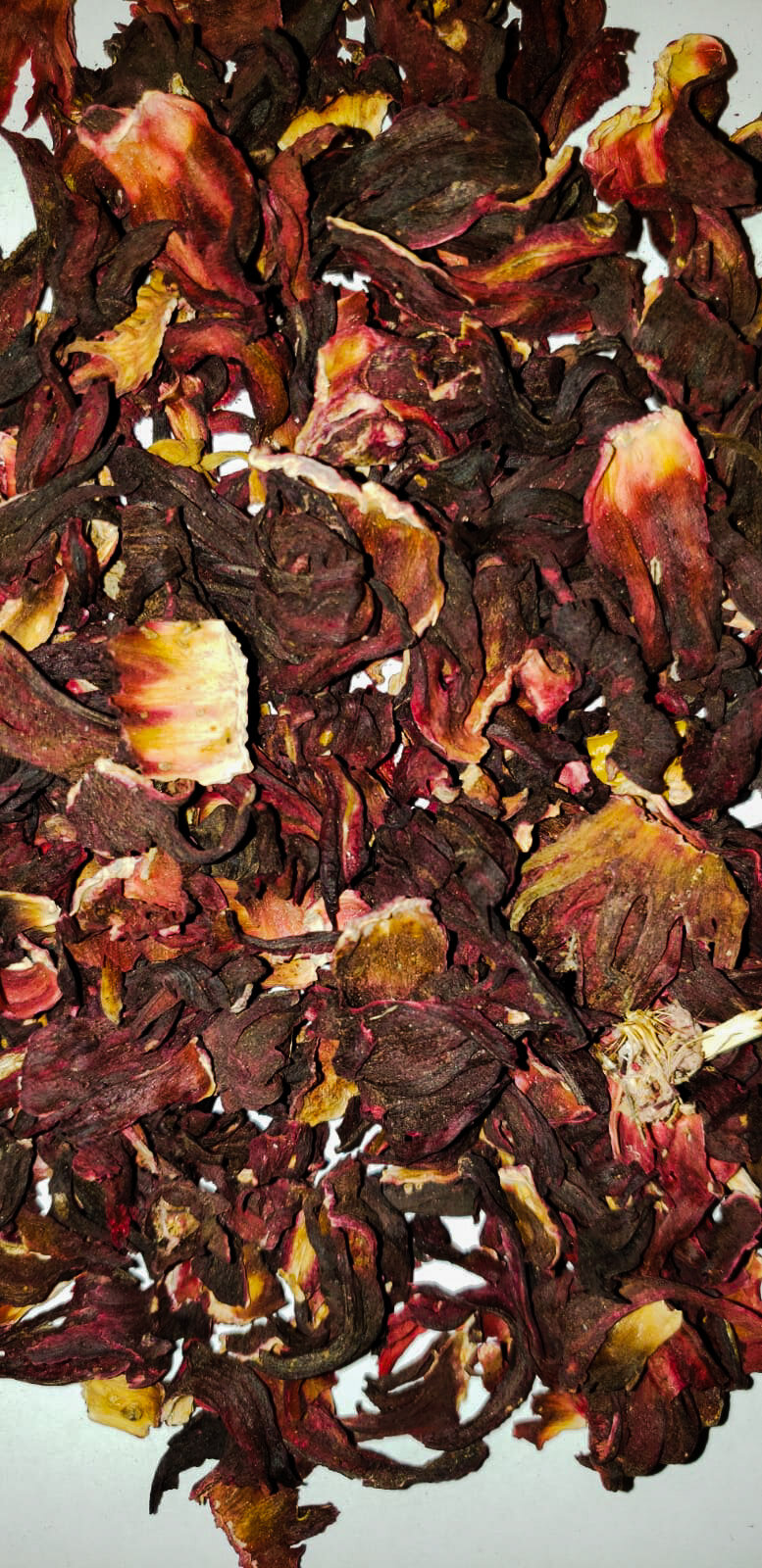 Hibiscus Flower — Tea Grotto
