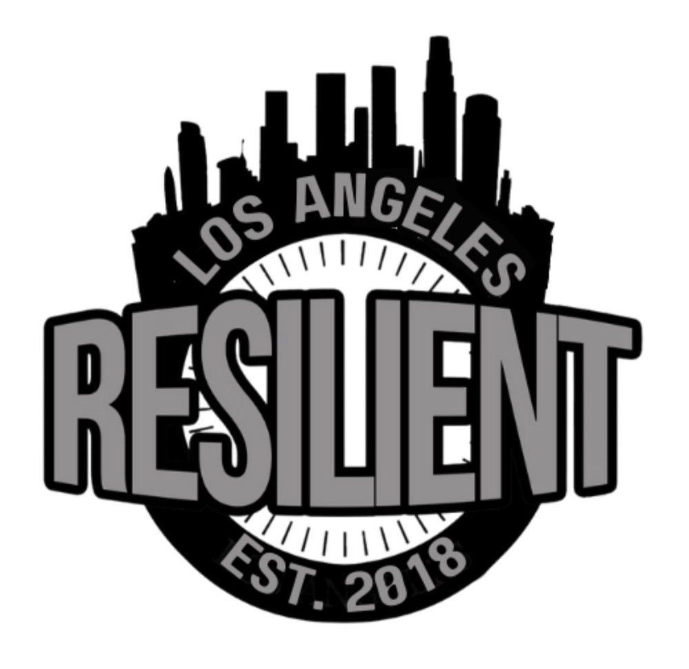 Resilient Agency