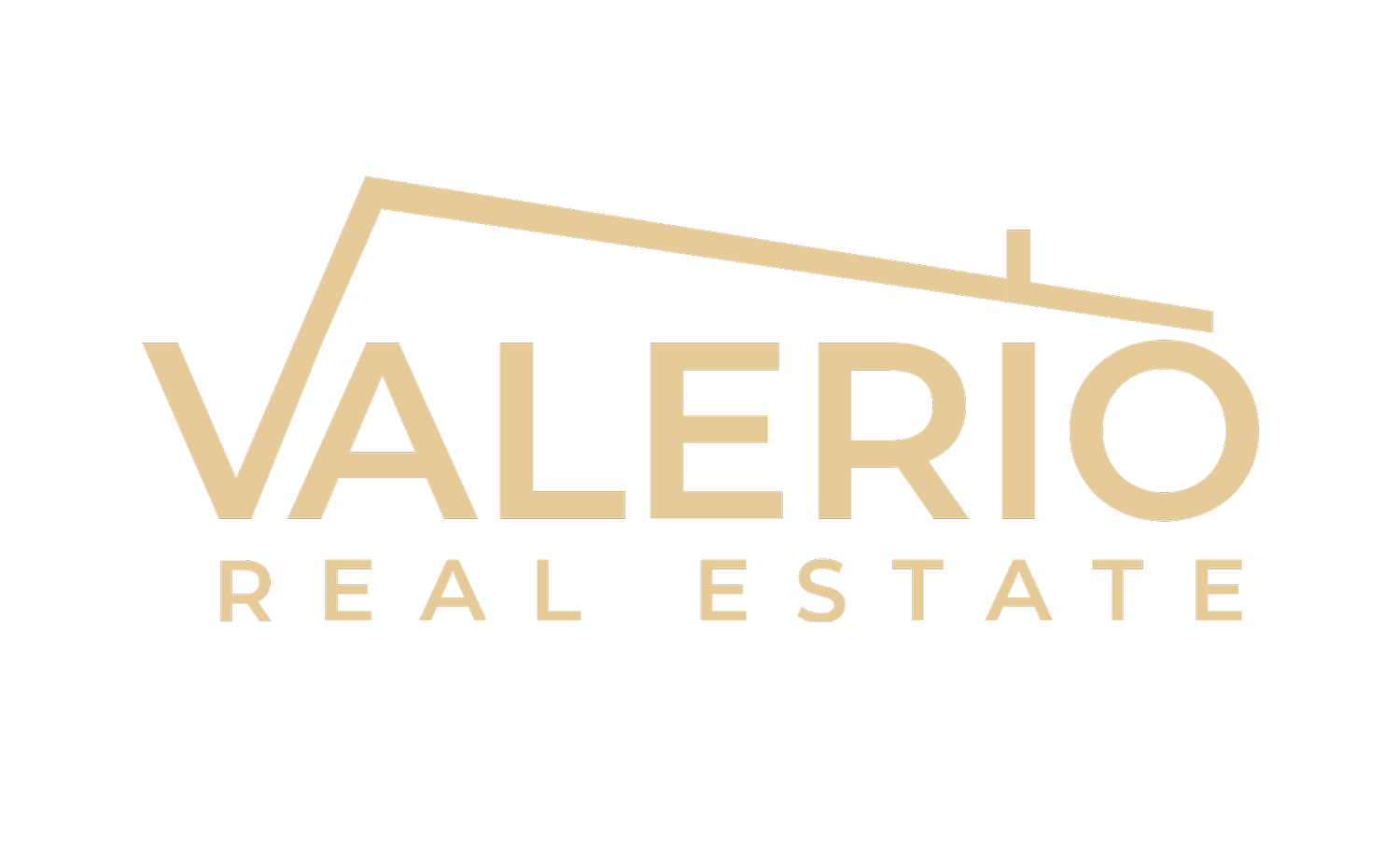 The Valerio Group, Inc.