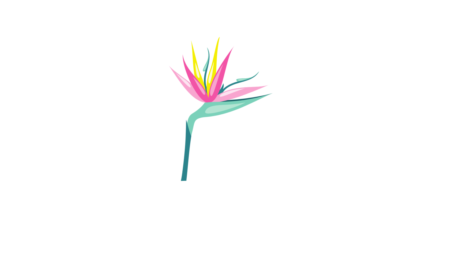 Lea Barnard Wellness
