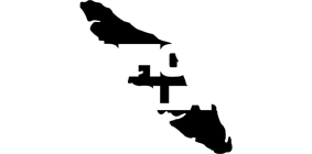Pacific Rim Drain Cleaning