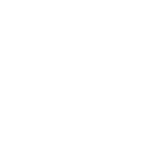 Fleur de V