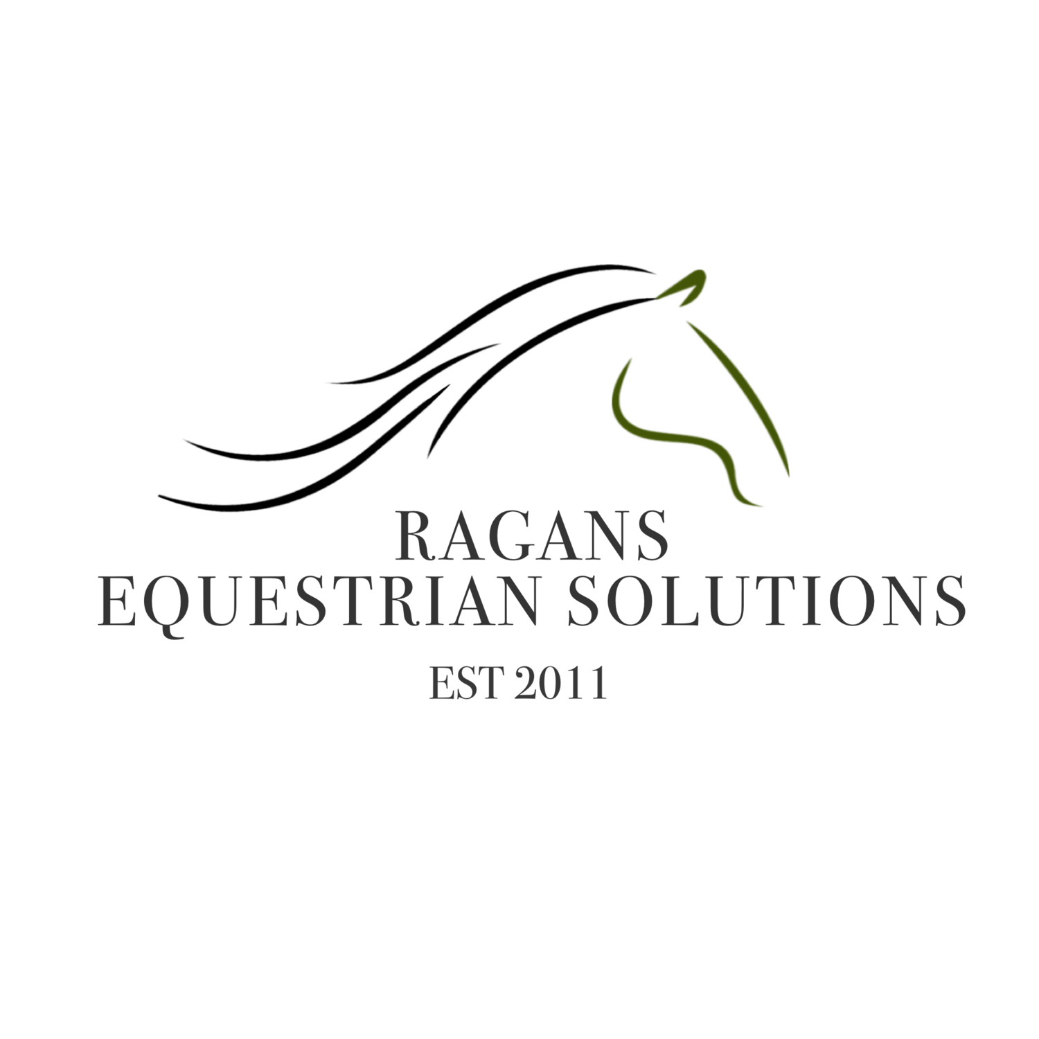 Ragans Equestrian Solutions 