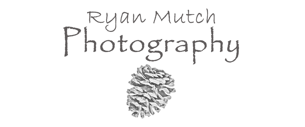 Ryan Mutch Photography