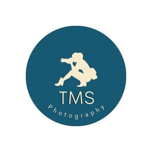 TMS Photography - Equine &amp; Dog Photographer 