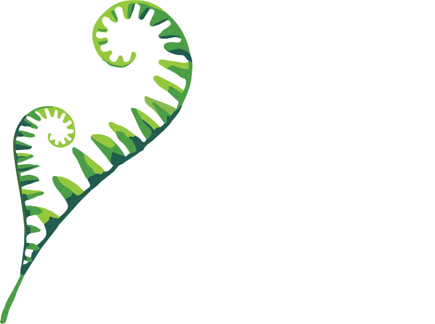 The Unwound Mind