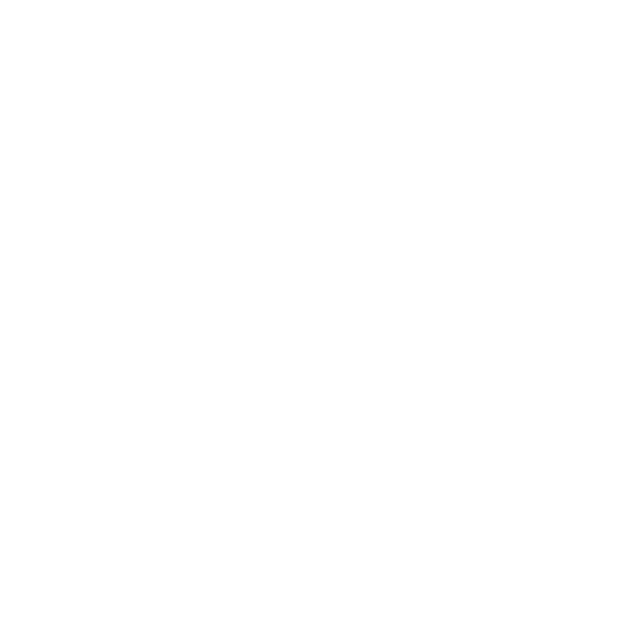CamiZole