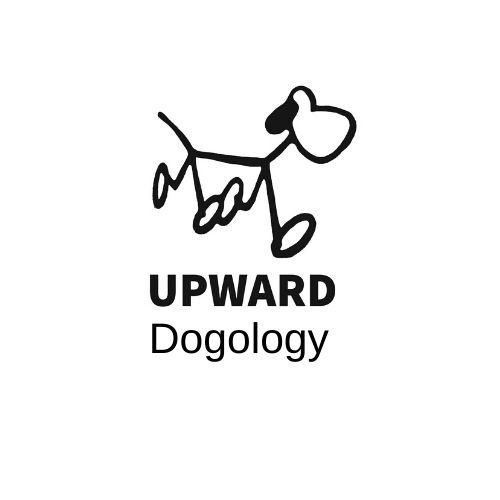 Canine Cognitive Behavioral Therapy by Billie Groom of UPWARD Dogology