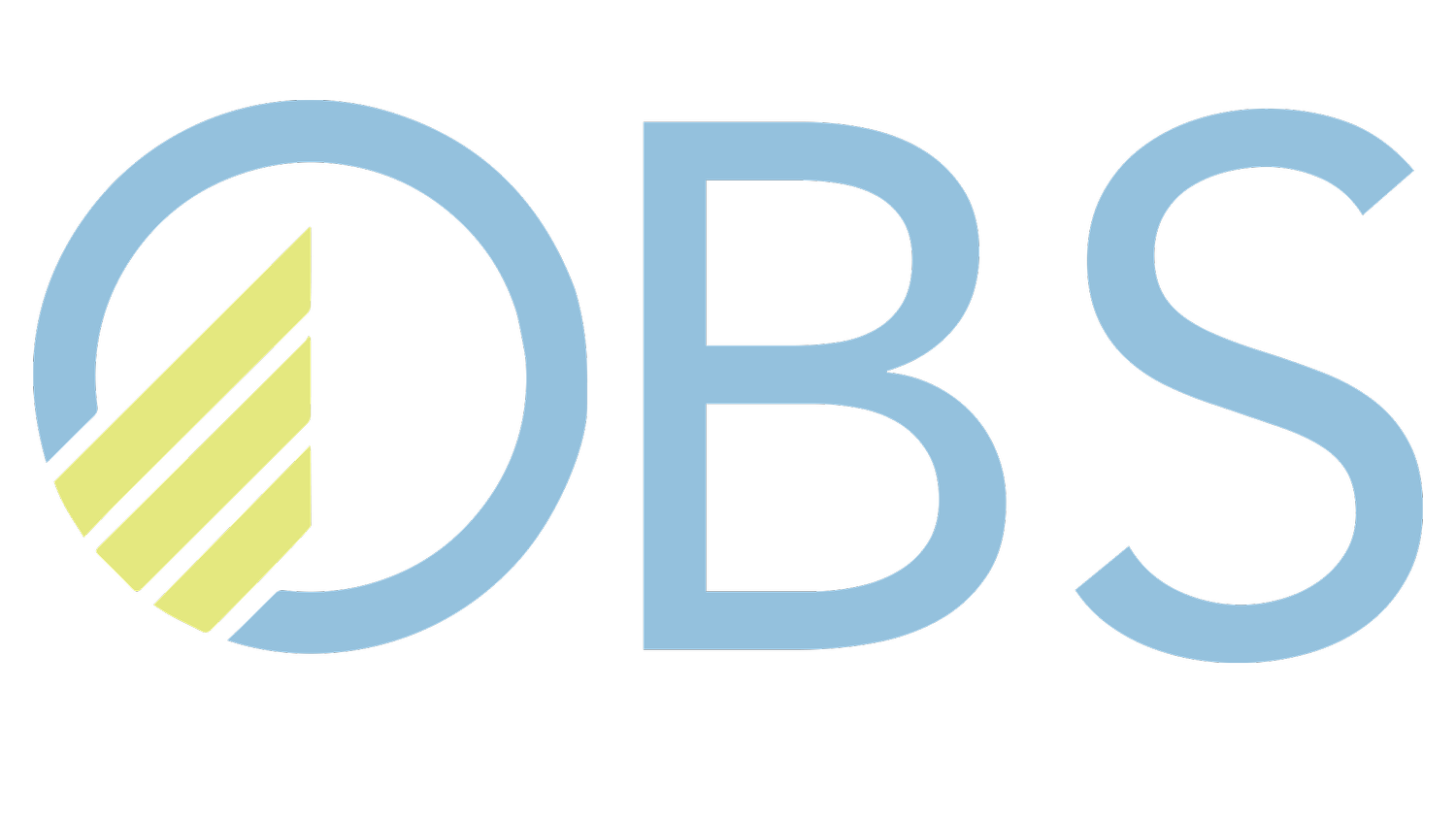 Loan Review & Credit Risk Services for Community Banks | OBS