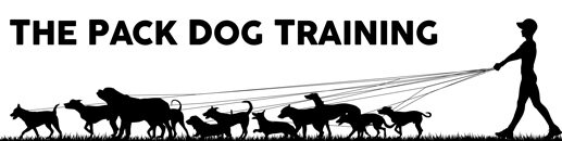 The Pack Dog Training