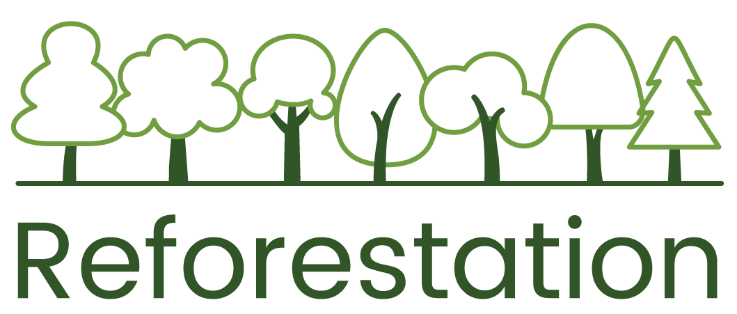 Reforestation - Accelerating woodland creation