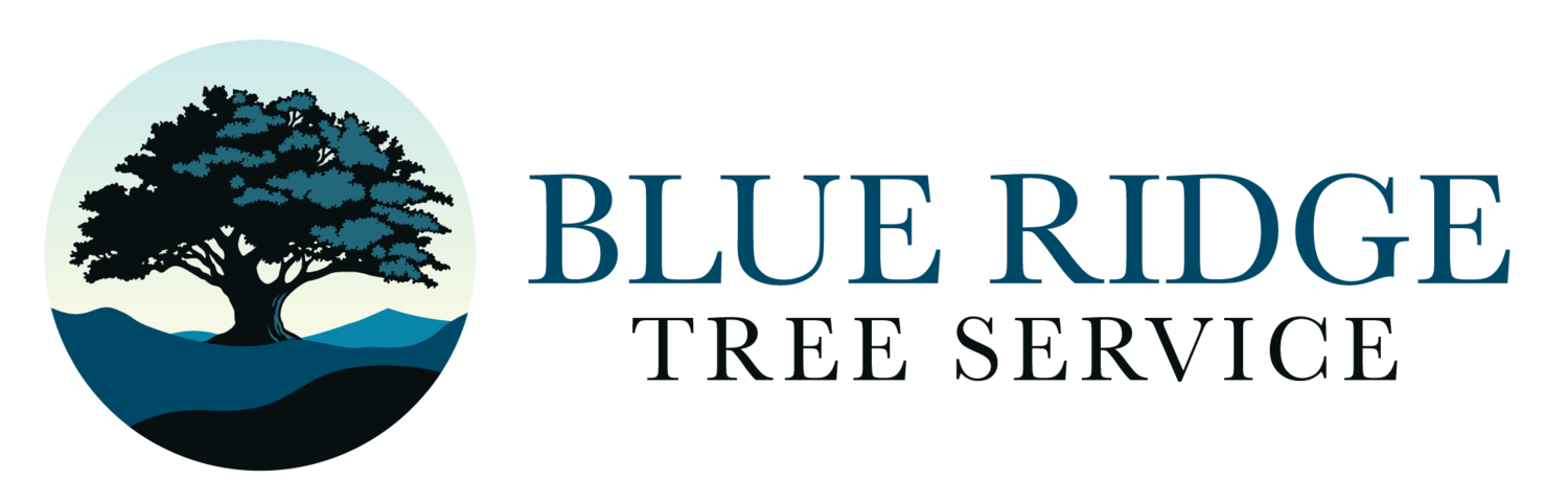 Blue Ridge Tree Service