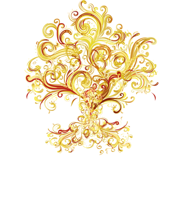 Apophis.Co