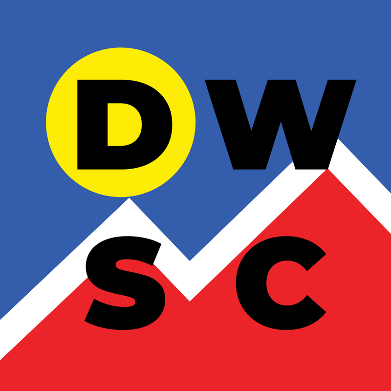 Denver Women's Sports Collective