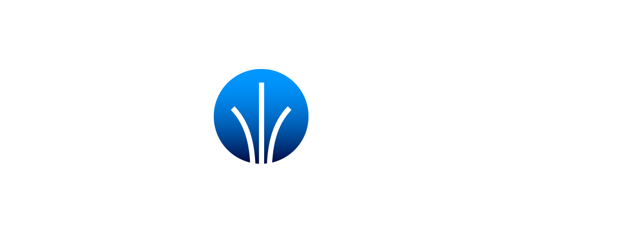Cronin Consulting