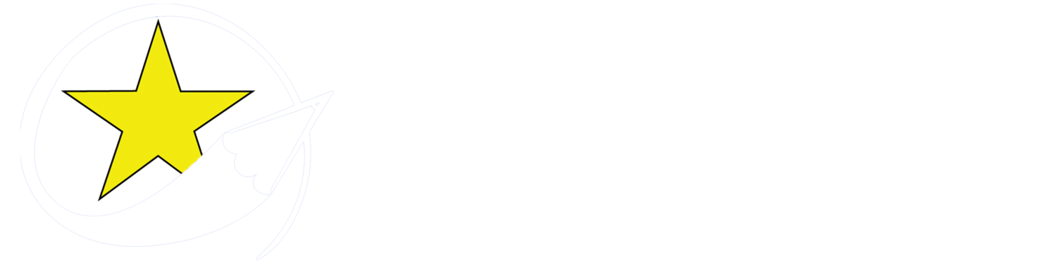 North Star Tutors