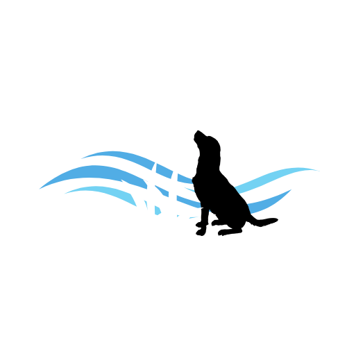 DARTMOOR RETRIEVERS 