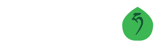 Mountain Hazelnuts