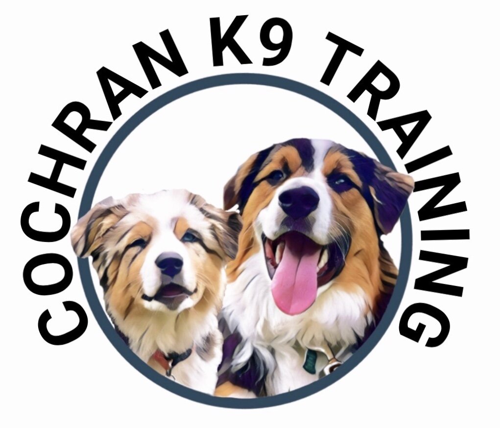 Cochran K9 Training