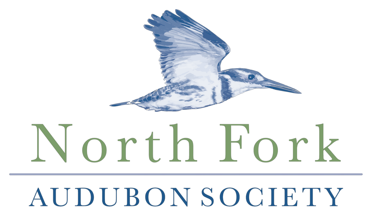 North Fork Audubon Society