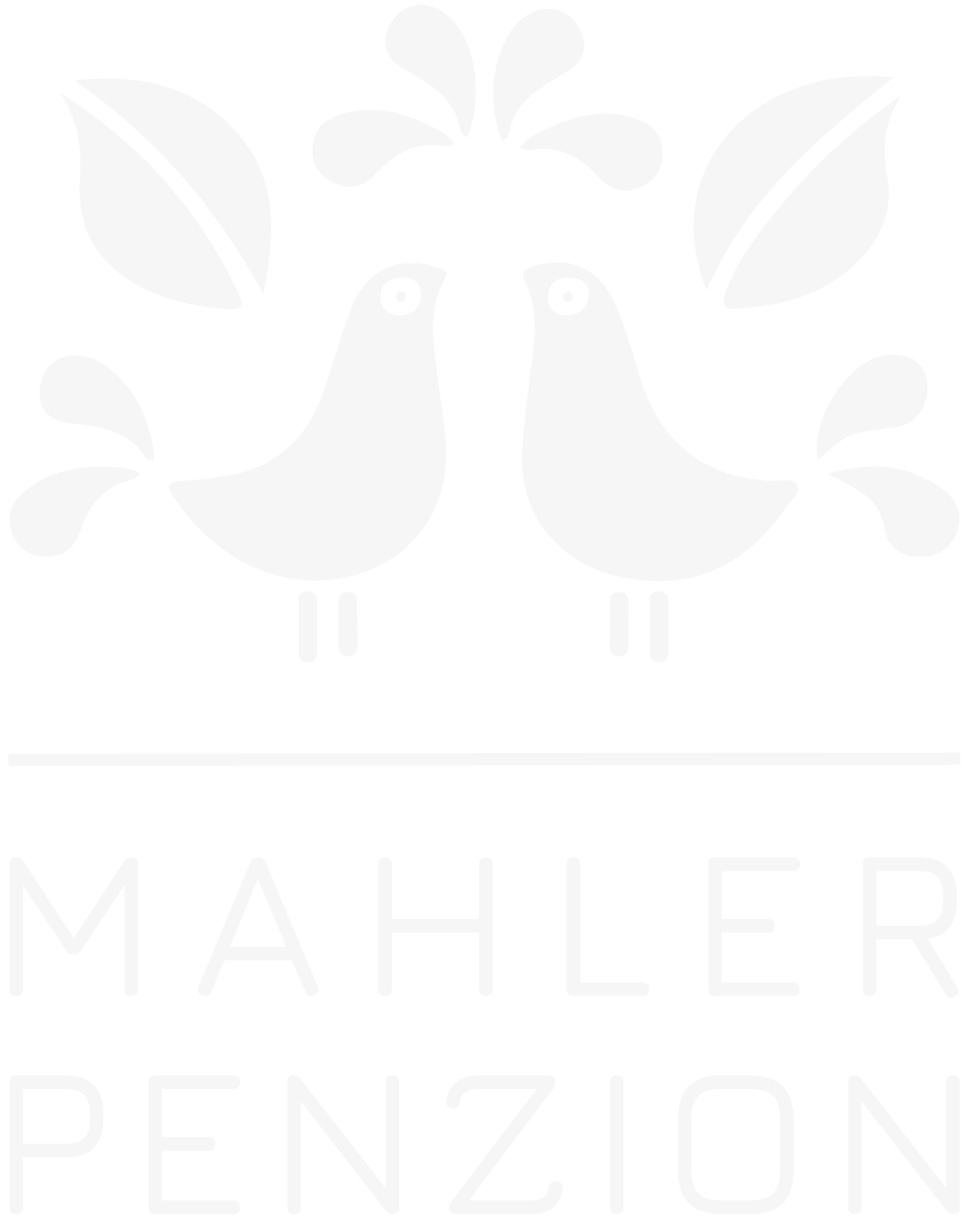mahler-penzion.cz
