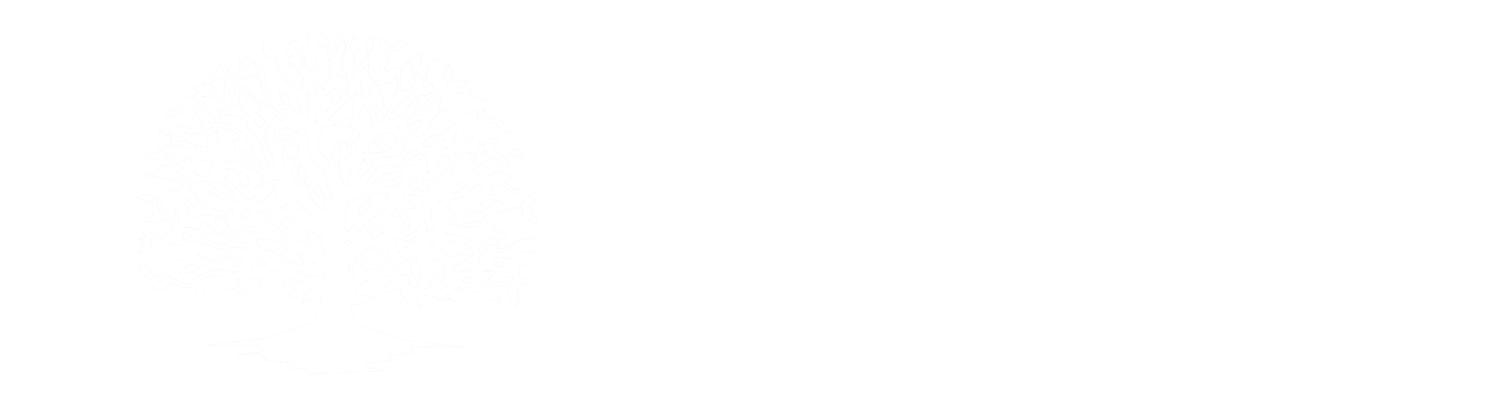 Ken Wise Woodcarver