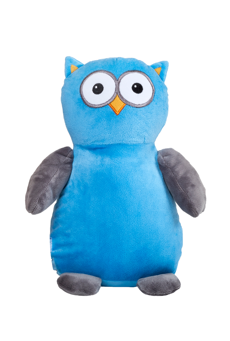 Teen Fandom Art Club: Owl House Hooty Door Hanger, White Oak Library District (Lockport, IL), September 12 2023