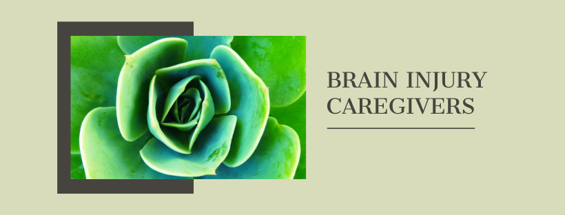 Brain Injury Caregivers