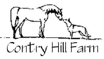 Contry Hill Farm | Horse Riding Lessons and Summer Camp, Mason, New Hampshire
