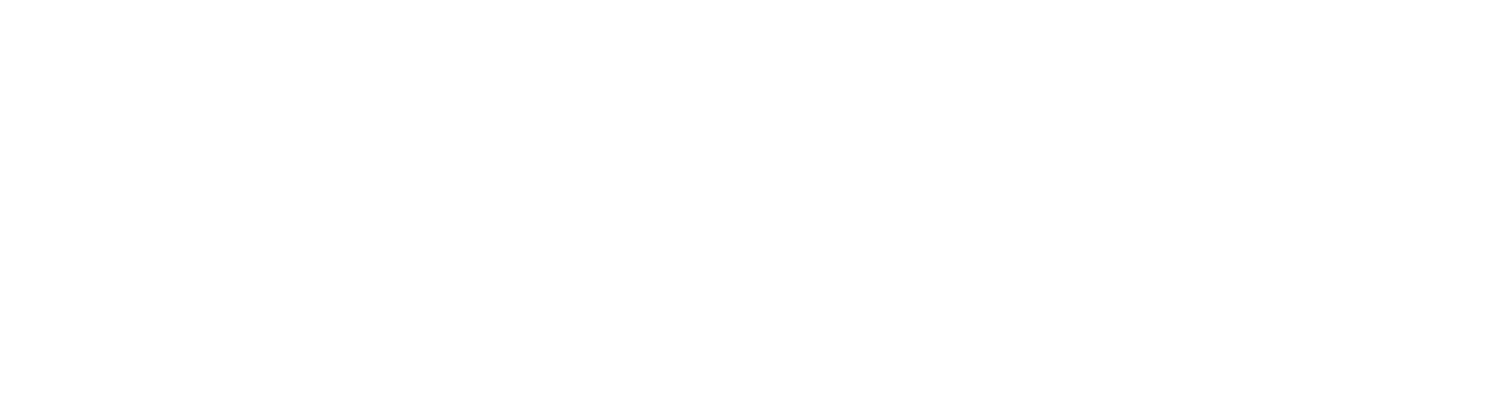 Sario Partners