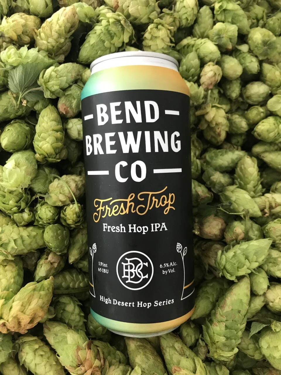 Hops.jpg中的新鲜农作物