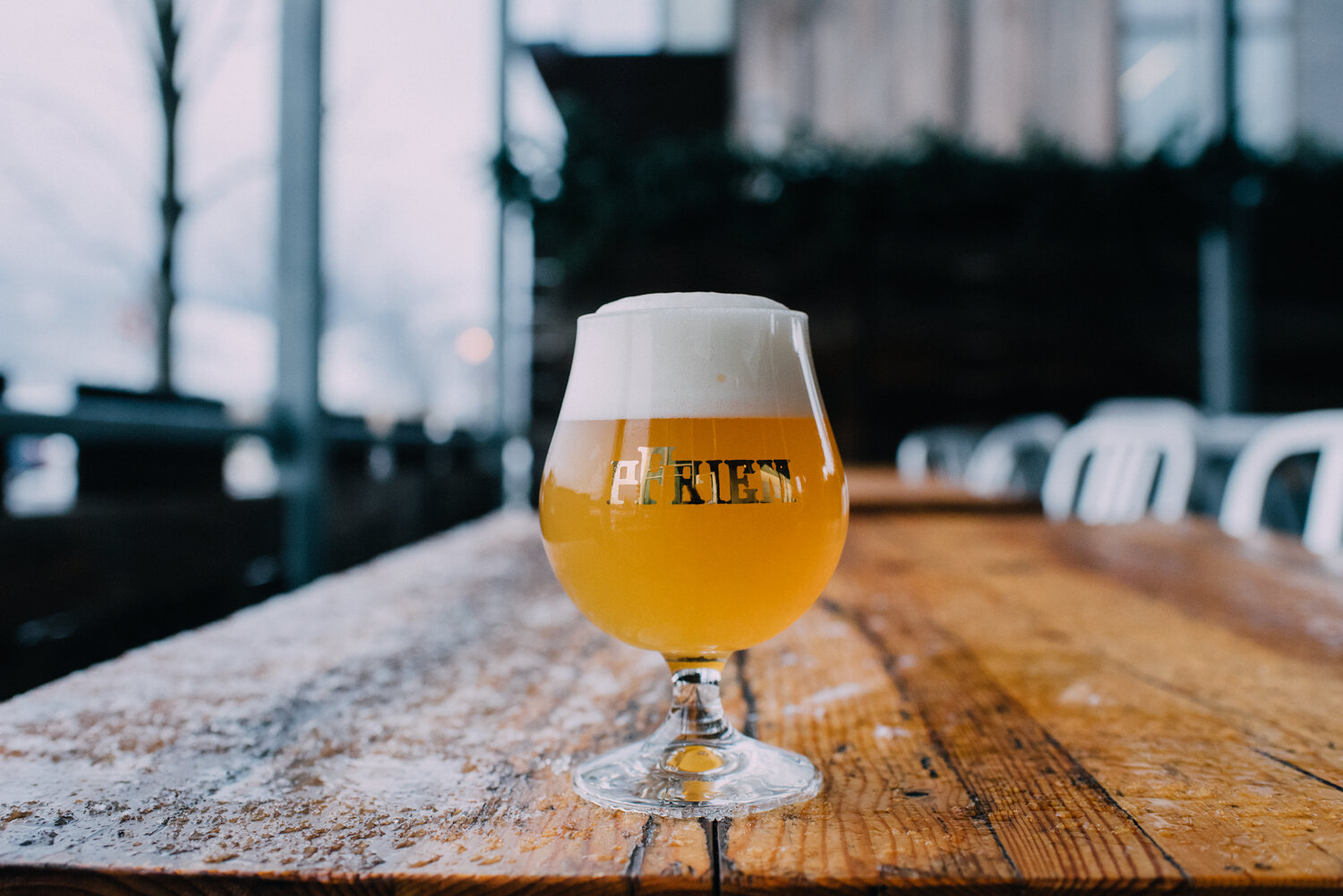 分解pFriem Family Brewers 2021包装啤酒的发布时间表
