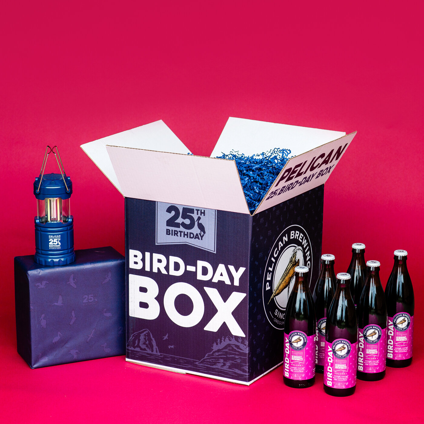 Bird-Box-V1_001_ScreenResolution.jpg