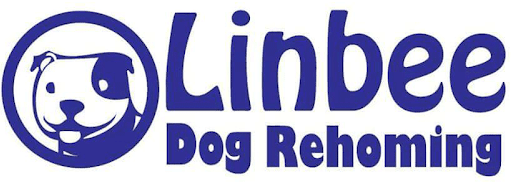 Linbee Dog Rehoming
