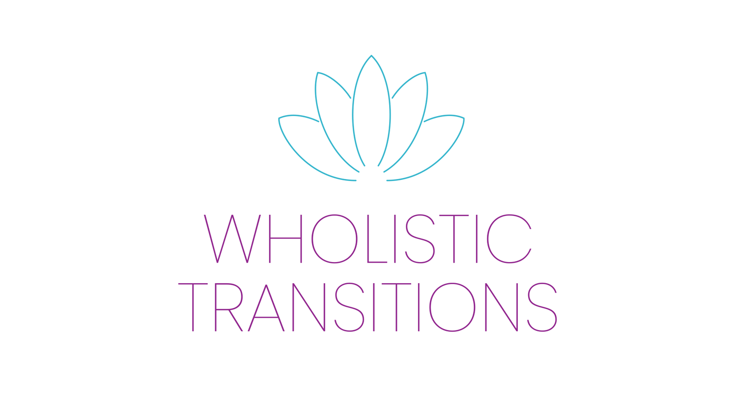 Wholistic Transitions