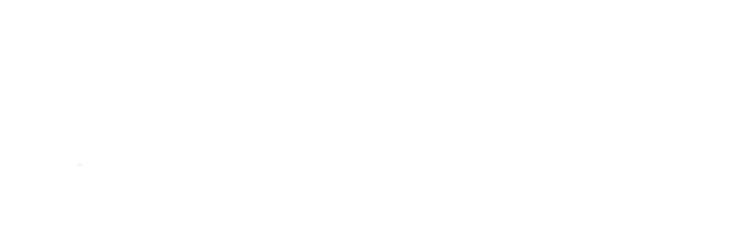 Maximus Homes 