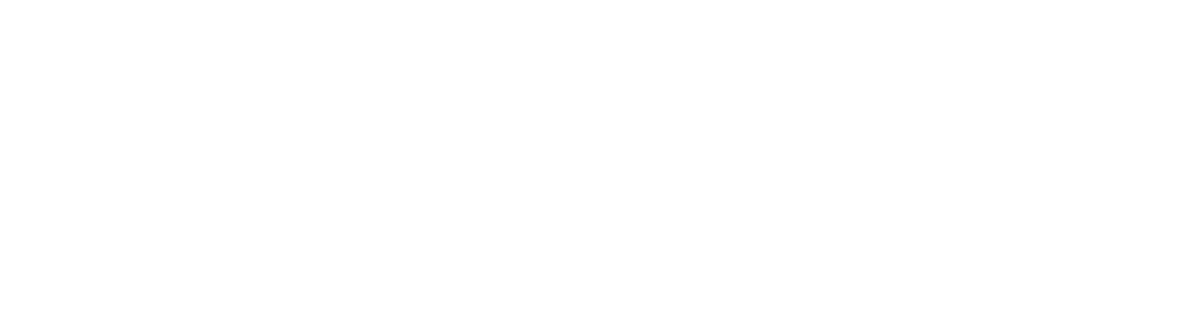 Wandering Design House | Strategic Brand Design